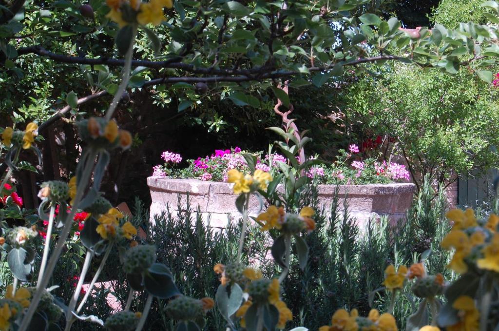 فندق Il Giardino Segreto بيينْسا المظهر الخارجي الصورة